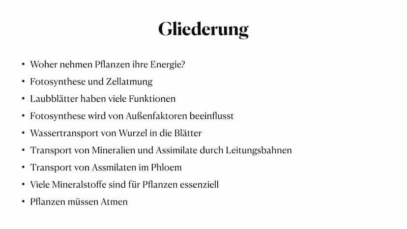 Stoff- und Energieumwandlung
bei Pflanzen
Fiona Feistel, Biologie 15.02.2021 ●
●
●
●
●
●
●
Gliederung
●
Woher nehmen Pflanzen ihre Energie?
