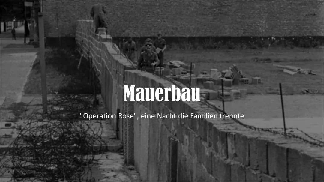 Mauerbau- „Operation Rose“