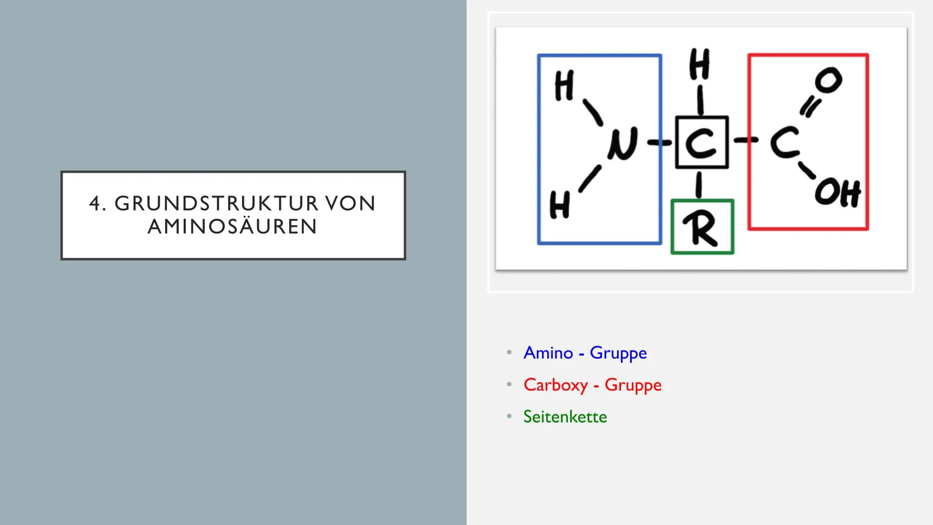 AMINOSÄUREN INHALTSVERZEICHNIS
I. allgemeine Informationen
2. Alpha-Aminosäuren
3. Proteine
4. Grundstruktur von Aminosäuren
5.
Eigenschafte