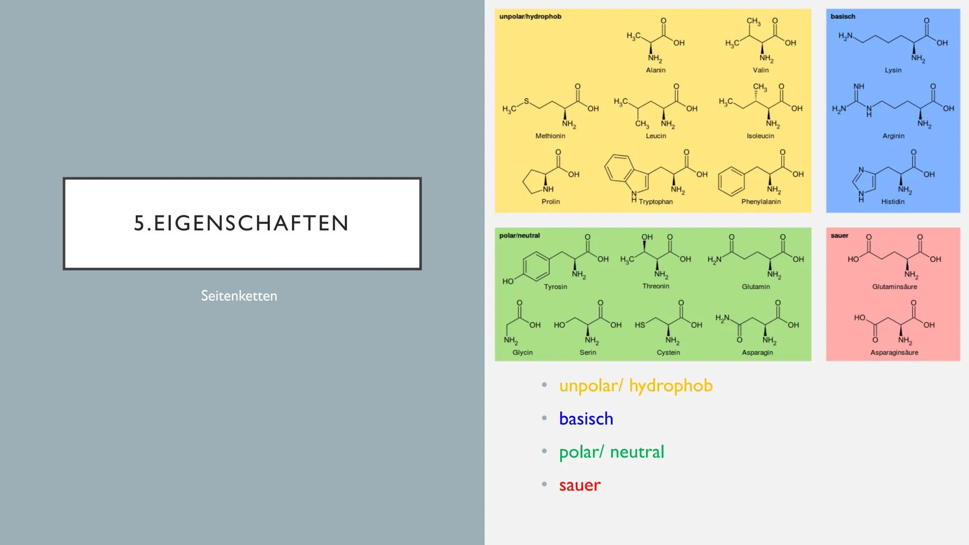 AMINOSÄUREN INHALTSVERZEICHNIS
I. allgemeine Informationen
2. Alpha-Aminosäuren
3. Proteine
4. Grundstruktur von Aminosäuren
5.
Eigenschafte