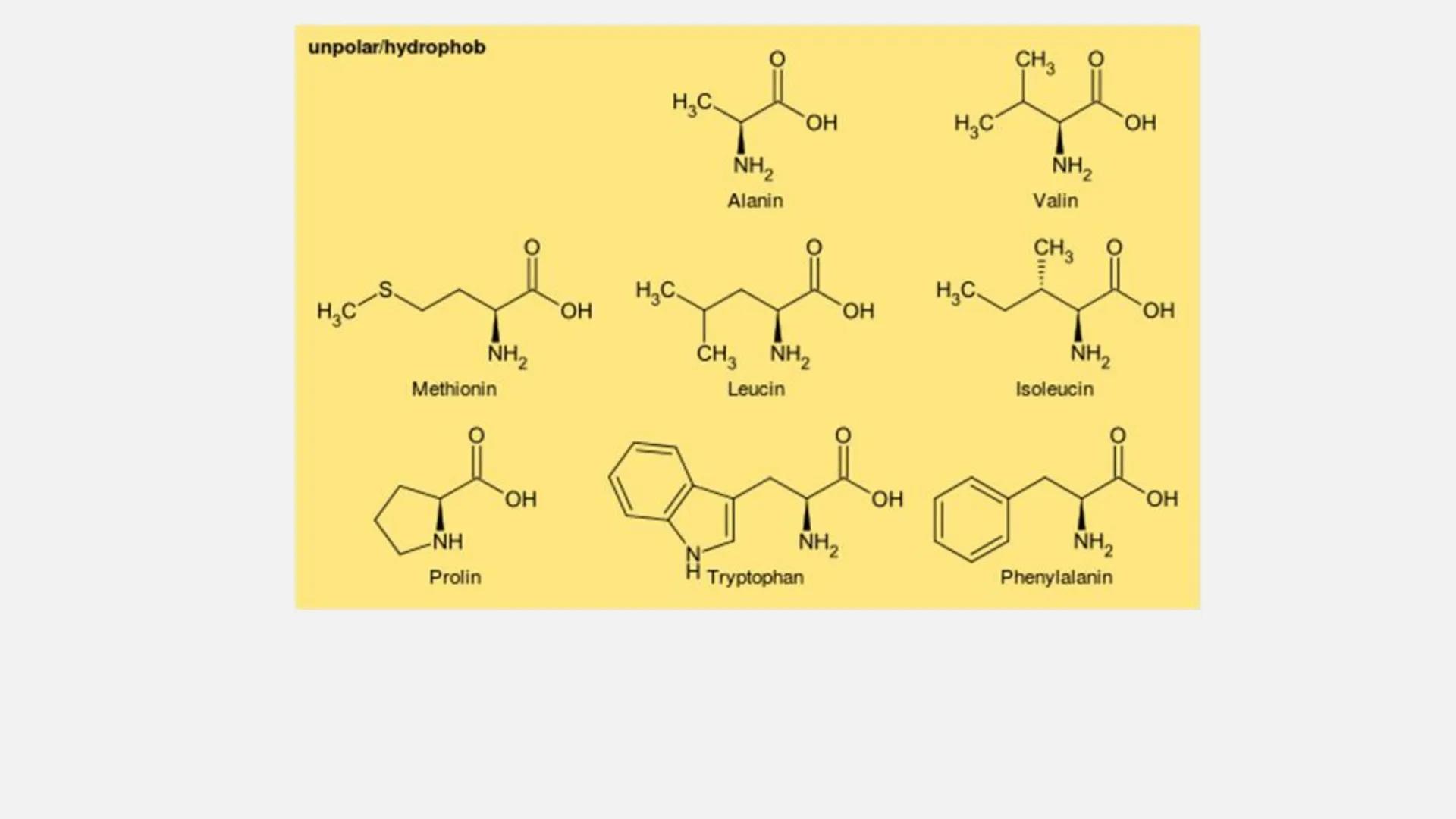 AMINOSÄUREN INHALTSVERZEICHNIS
I. allgemeine Informationen
2. Alpha-Aminosäuren
3. Proteine
4. Grundstruktur von Aminosäuren
5.
Eigenschafte
