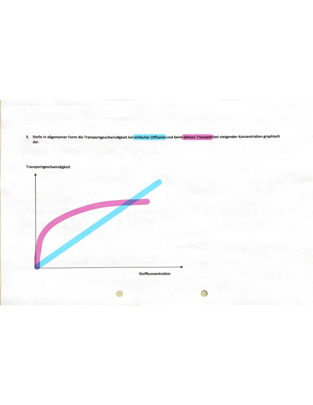 3. Stelle in allgemeiner Form die Transportgeschwindigkeit bei einfacher Diffusion und beim aktiven Transport bei steigender Konzentration g