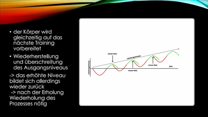 SPORT UND GESUNDHEIT 1. Allgemeine Informationen
2. Anpassungsvorgang des Körpers
3. Korrekte Ausführung
4. Auswirkungen
●
INHALT
Positive
N
