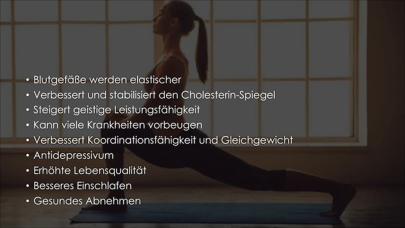 SPORT UND GESUNDHEIT 1. Allgemeine Informationen
2. Anpassungsvorgang des Körpers
3. Korrekte Ausführung
4. Auswirkungen
●
INHALT
Positive
N