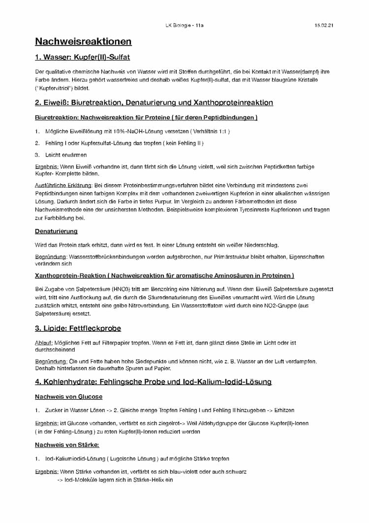 Know Nachweisreaktionen Biomoleküle  thumbnail