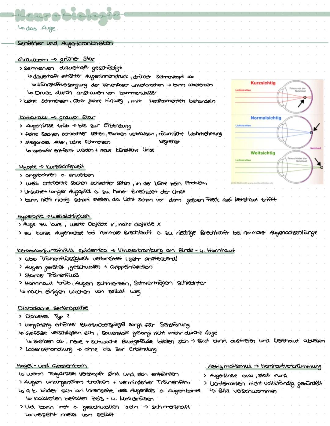 -Neurobiologie-
› Zuständig für logisches Denken, Bewusstsein, Gedächnis, Bewegungskoordination, Emotionen,
Gefühle, Aufnahme u. weiterleitu