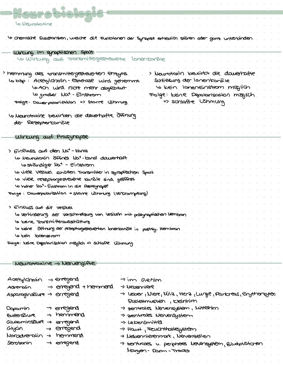 -Neurobiologie-
› Zuständig für logisches Denken, Bewusstsein, Gedächnis, Bewegungskoordination, Emotionen,
Gefühle, Aufnahme u. weiterleitu