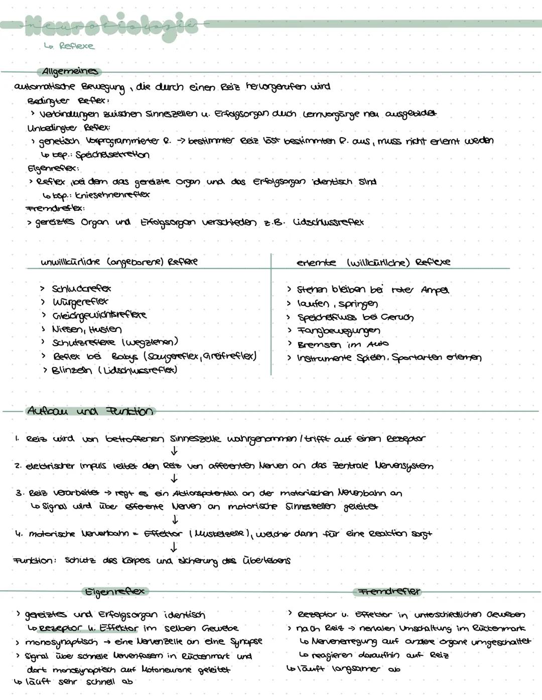 -Neurobiologie-
› Zuständig für logisches Denken, Bewusstsein, Gedächnis, Bewegungskoordination, Emotionen,
Gefühle, Aufnahme u. weiterleitu