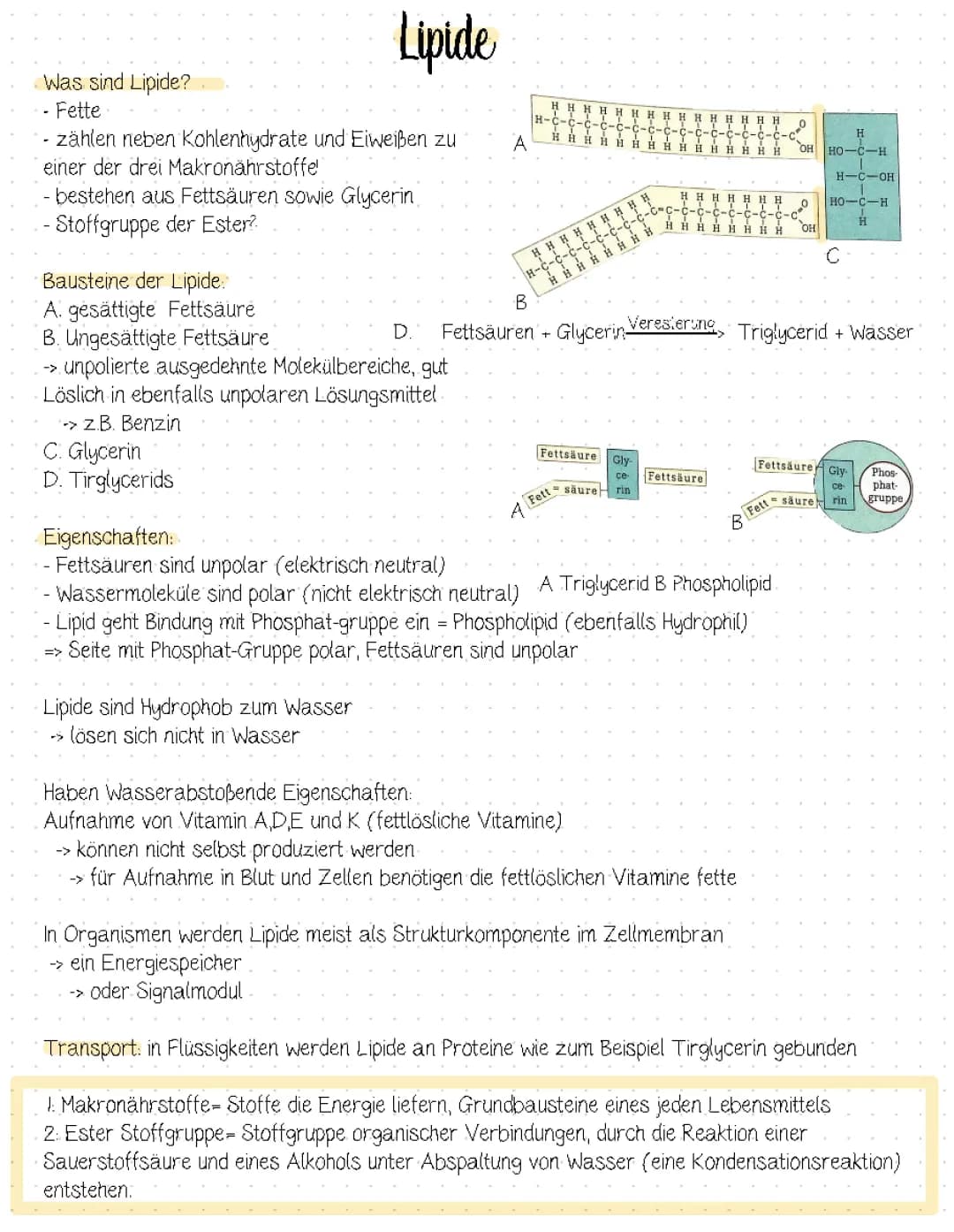 Lipide 