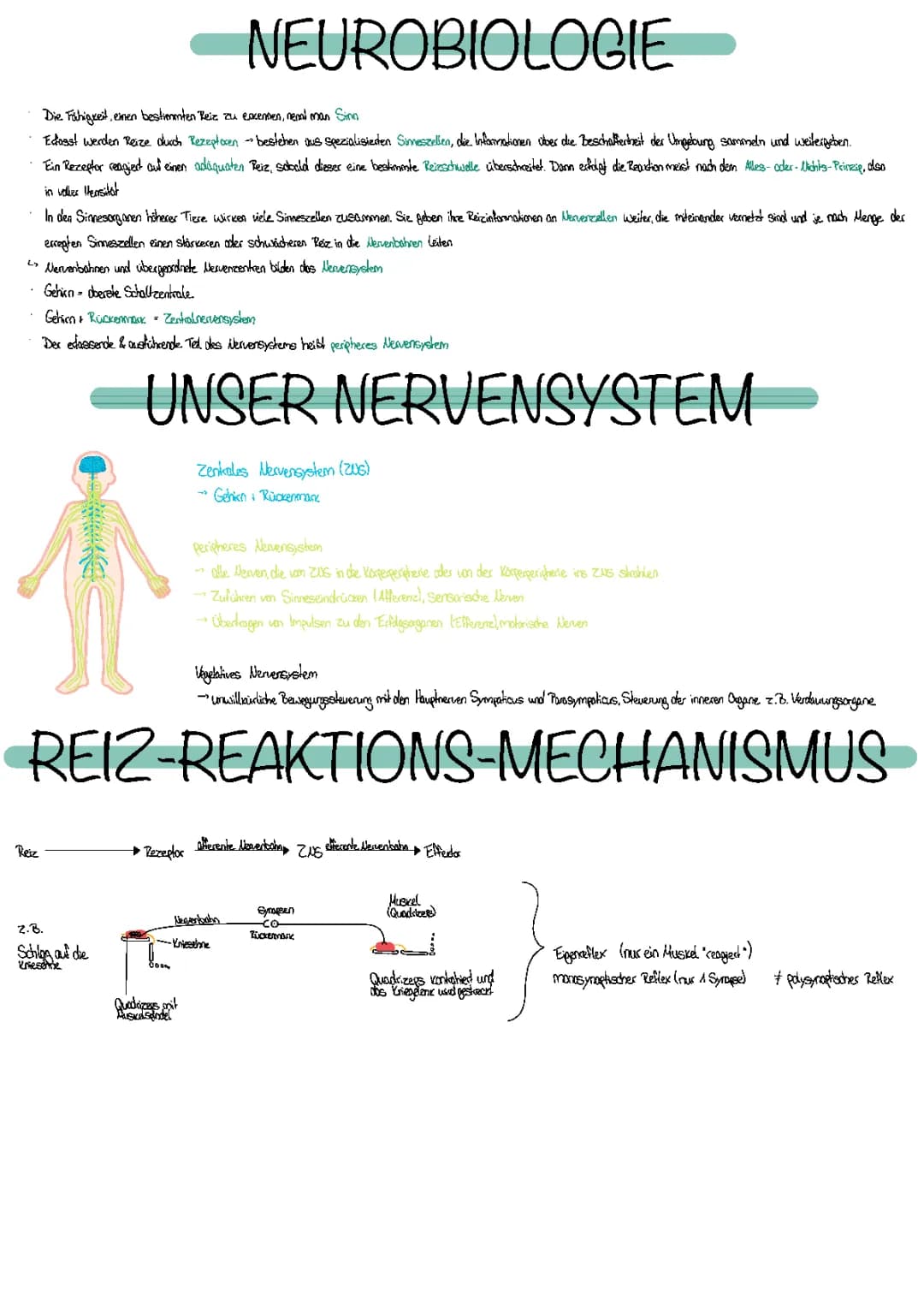 Neurobiologie