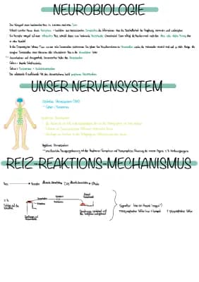 Know Neurobiologie thumbnail