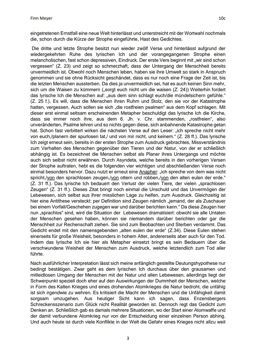 Finn Meyer
2. Aufsatz Deutsch
Gedichtinterpretation „das ende der eulen"
10c
„Der Mensch erfand die Atombombe, doch keine Maus der Welt würd