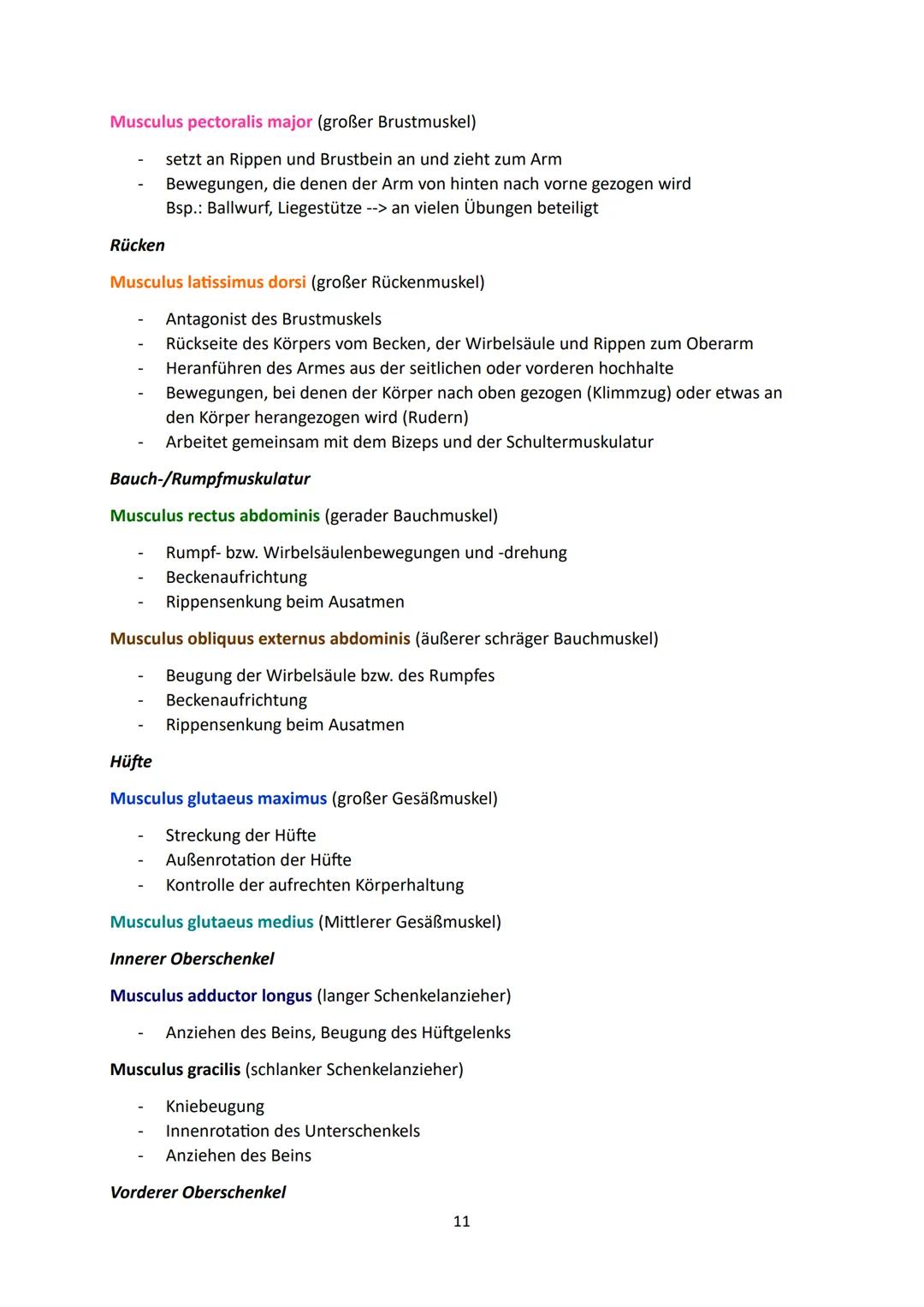 1.Grundlagen
Faktoren sportlicher Leistungsfähigkeit:
Psychische
Fähigkeiten
Kraft
Sportlernzettel 2023
Veranlagungsbedingte,
konstitutionel