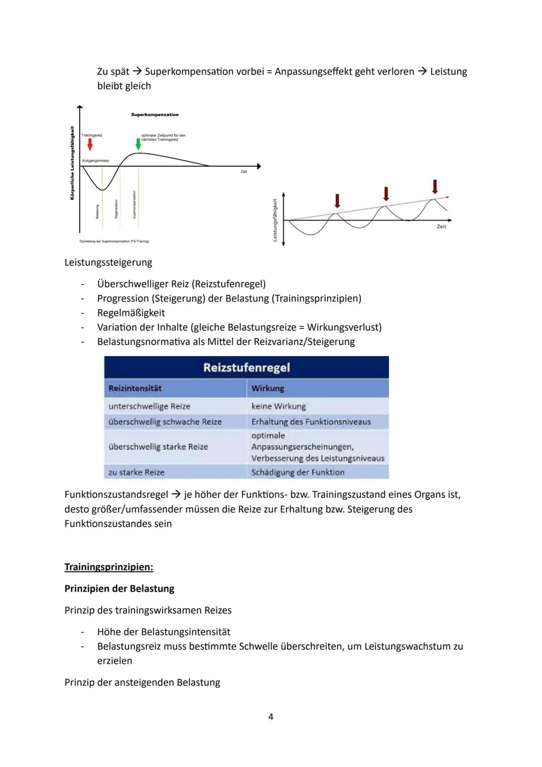 1.Grundlagen
Faktoren sportlicher Leistungsfähigkeit:
Psychische
Fähigkeiten
Kraft
Sportlernzettel 2023
Veranlagungsbedingte,
konstitutionel