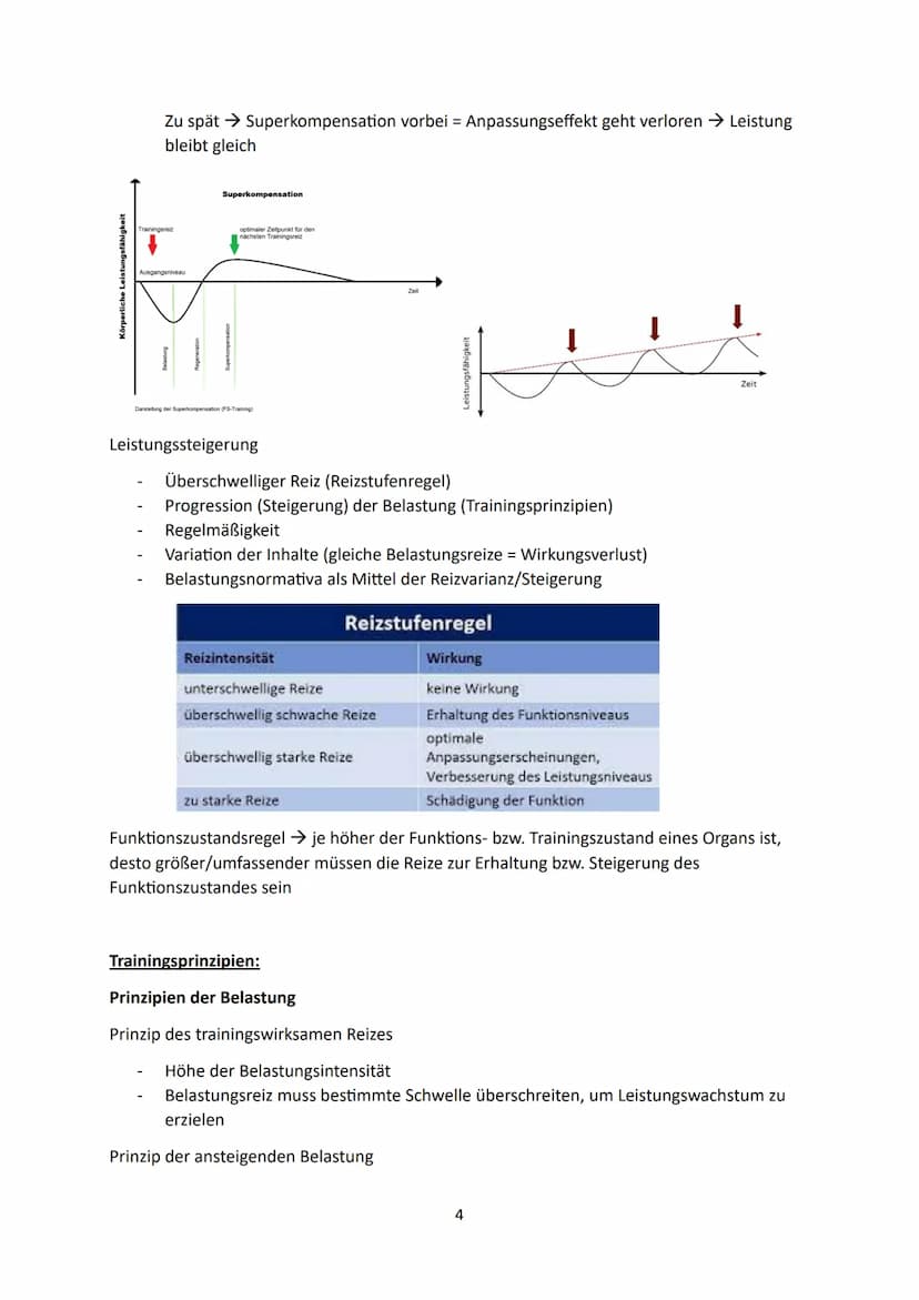 1.Grundlagen
Faktoren sportlicher Leistungsfähigkeit:
Psychische
Fähigkeiten
Kraft
Sportlernzettel 2023
Veranlagungsbedingte,
konstitutionel