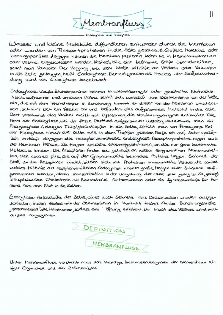 Know Membranfluss  thumbnail