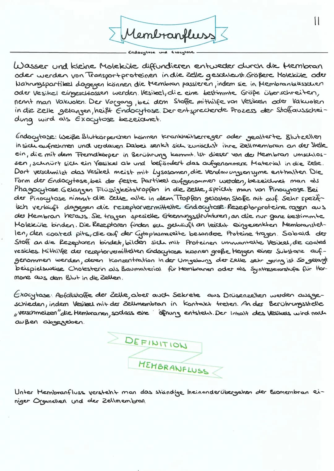 Zellmembran
SCHEMAZEICHNUNG DES
MEMBRANFLUSS
Exozytose
Vesikel-
Golgi
Apparat
raves ER
00
%
00⁰
O
Pinocytose
oooo
00
0 0
O A
no
Ribosomen
00