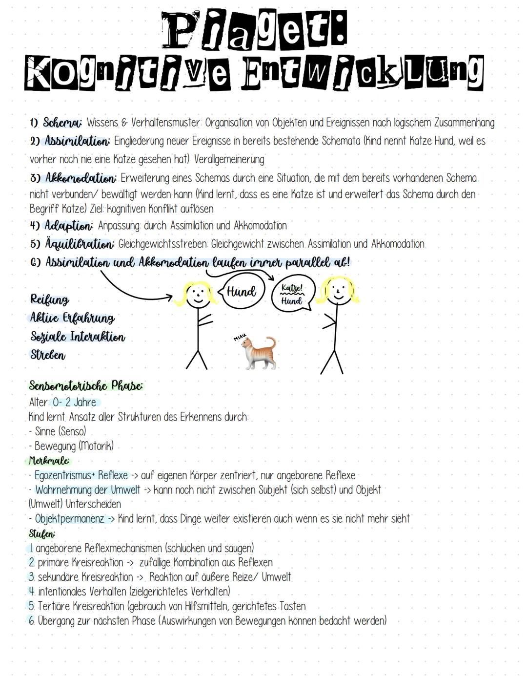 Piaget:
Kognitive Entwicklung
1) Schema Wissens & Verhaltensmuster: Organisation von Objekten und Ereignissen nach logischem Zusammenhang
2)