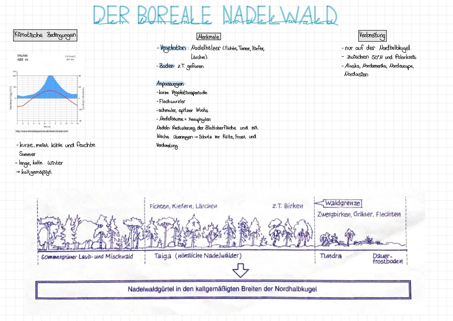 SAVANNE
= Graslandschaft in den wechselfeuchten Tropen, in der in Abhängigkeit von den Niederschlägen Gräser mit Sträuchern bzw. Bäumen konk