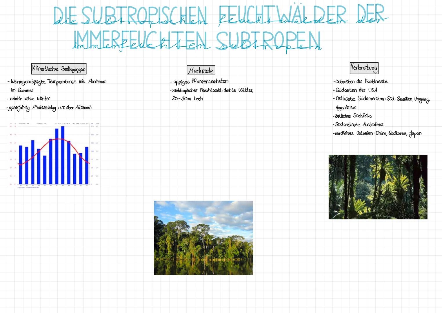 SAVANNE
= Graslandschaft in den wechselfeuchten Tropen, in der in Abhängigkeit von den Niederschlägen Gräser mit Sträuchern bzw. Bäumen konk