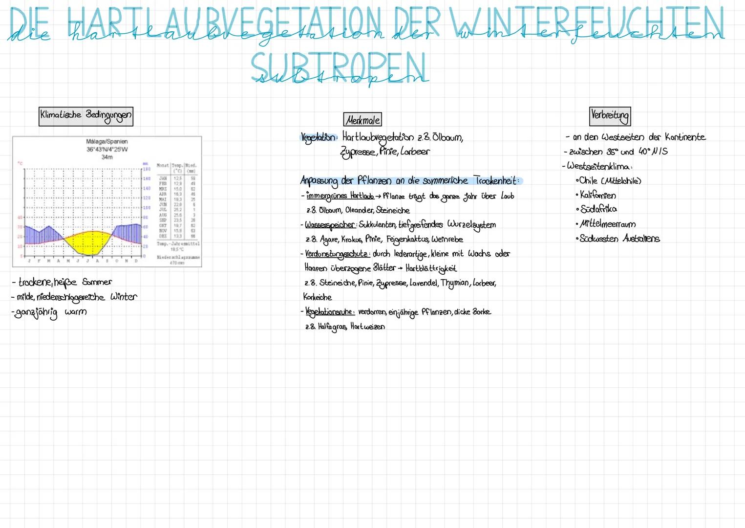 SAVANNE
= Graslandschaft in den wechselfeuchten Tropen, in der in Abhängigkeit von den Niederschlägen Gräser mit Sträuchern bzw. Bäumen konk