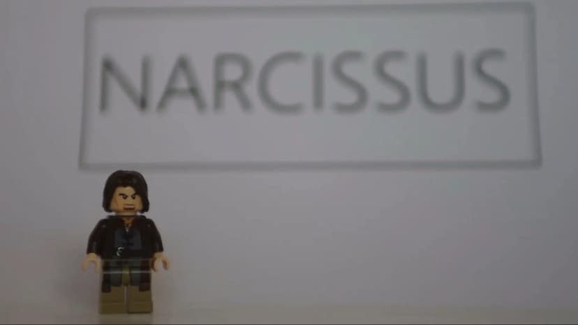 NARCISSUS & ECHO NARCISSUS iste ego sum: sensi; nec me mea fallit imago:
uror amore mei, flammas moveoque feroque.
quid faciam? roger anne r