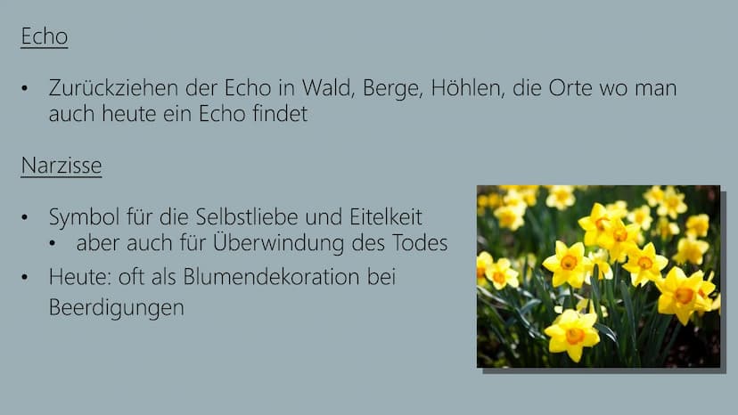 NARCISSUS & ECHO NARCISSUS iste ego sum: sensi; nec me mea fallit imago:
uror amore mei, flammas moveoque feroque.
quid faciam? roger anne r