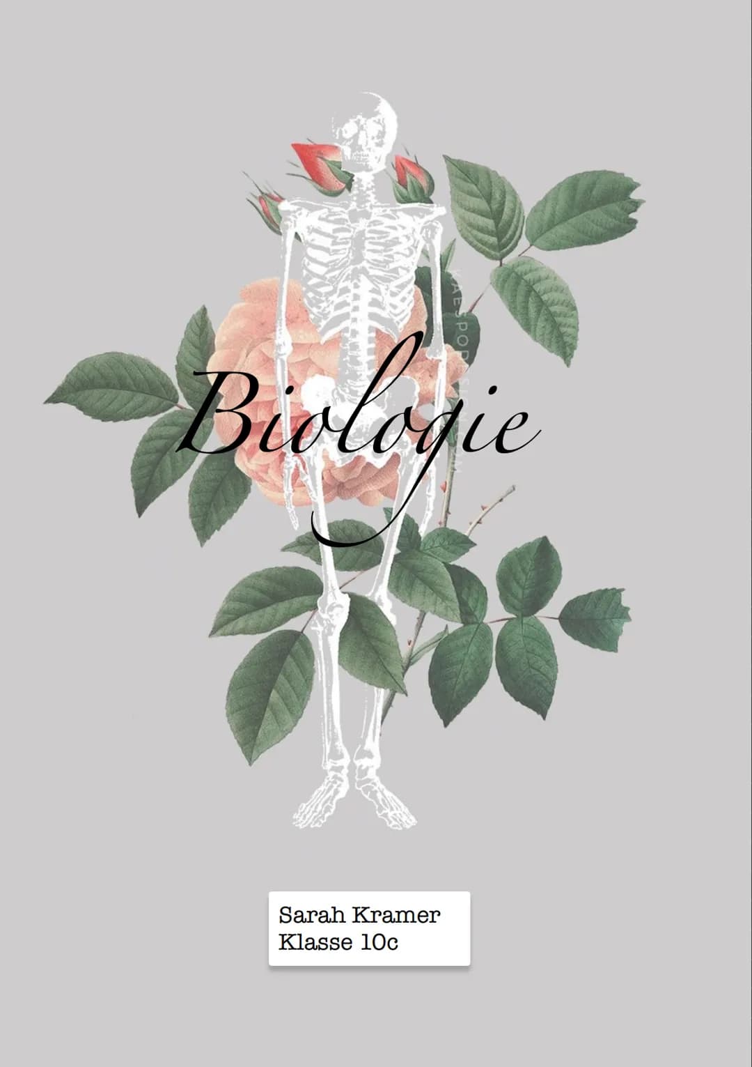Biologie
Sarah Kramer
Klasse 10c 3. Zellmembran
4. Zellplasma
2. Tüpfel
5. Hitochondrien
Endplasmatisches
Ritikulum
Ribosomen
Cytoplasma
Mit