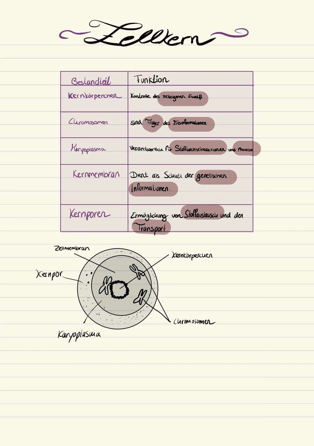 Biologie
Sarah Kramer
Klasse 10c 3. Zellmembran
4. Zellplasma
2. Tüpfel
5. Hitochondrien
Endplasmatisches
Ritikulum
Ribosomen
Cytoplasma
Mit