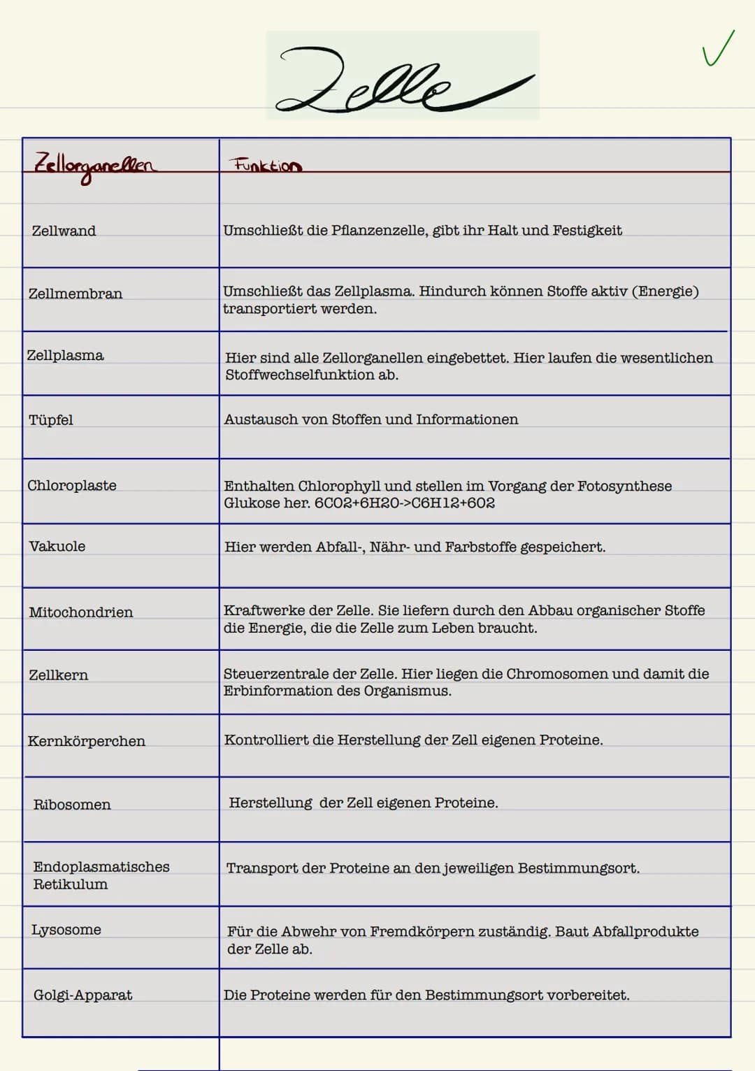 Biologie
Sarah Kramer
Klasse 10c 3. Zellmembran
4. Zellplasma
2. Tüpfel
5. Hitochondrien
Endplasmatisches
Ritikulum
Ribosomen
Cytoplasma
Mit