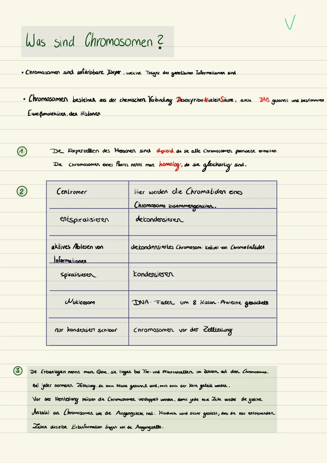 Biologie
Sarah Kramer
Klasse 10c 3. Zellmembran
4. Zellplasma
2. Tüpfel
5. Hitochondrien
Endplasmatisches
Ritikulum
Ribosomen
Cytoplasma
Mit