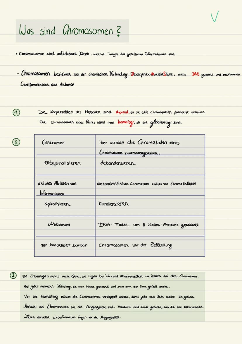 Biologie
Sarah Kramer
Klasse 10c 3. Zellmembran
4. Zellplasma
2. Tüpfel
5. Hitochondrien
Endplasmatisches
Ritikulum
Ribosomen
Cytoplasma
Mit