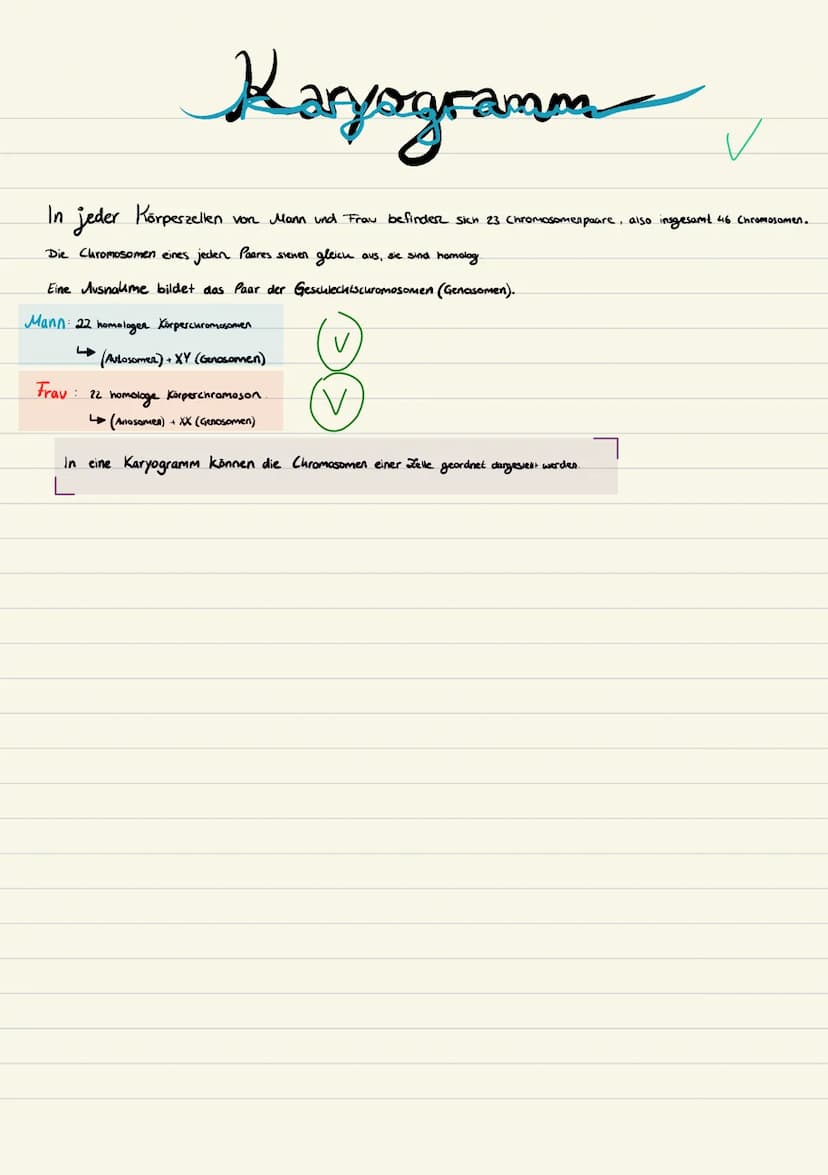 Biologie
Sarah Kramer
Klasse 10c 3. Zellmembran
4. Zellplasma
2. Tüpfel
5. Hitochondrien
Endplasmatisches
Ritikulum
Ribosomen
Cytoplasma
Mit