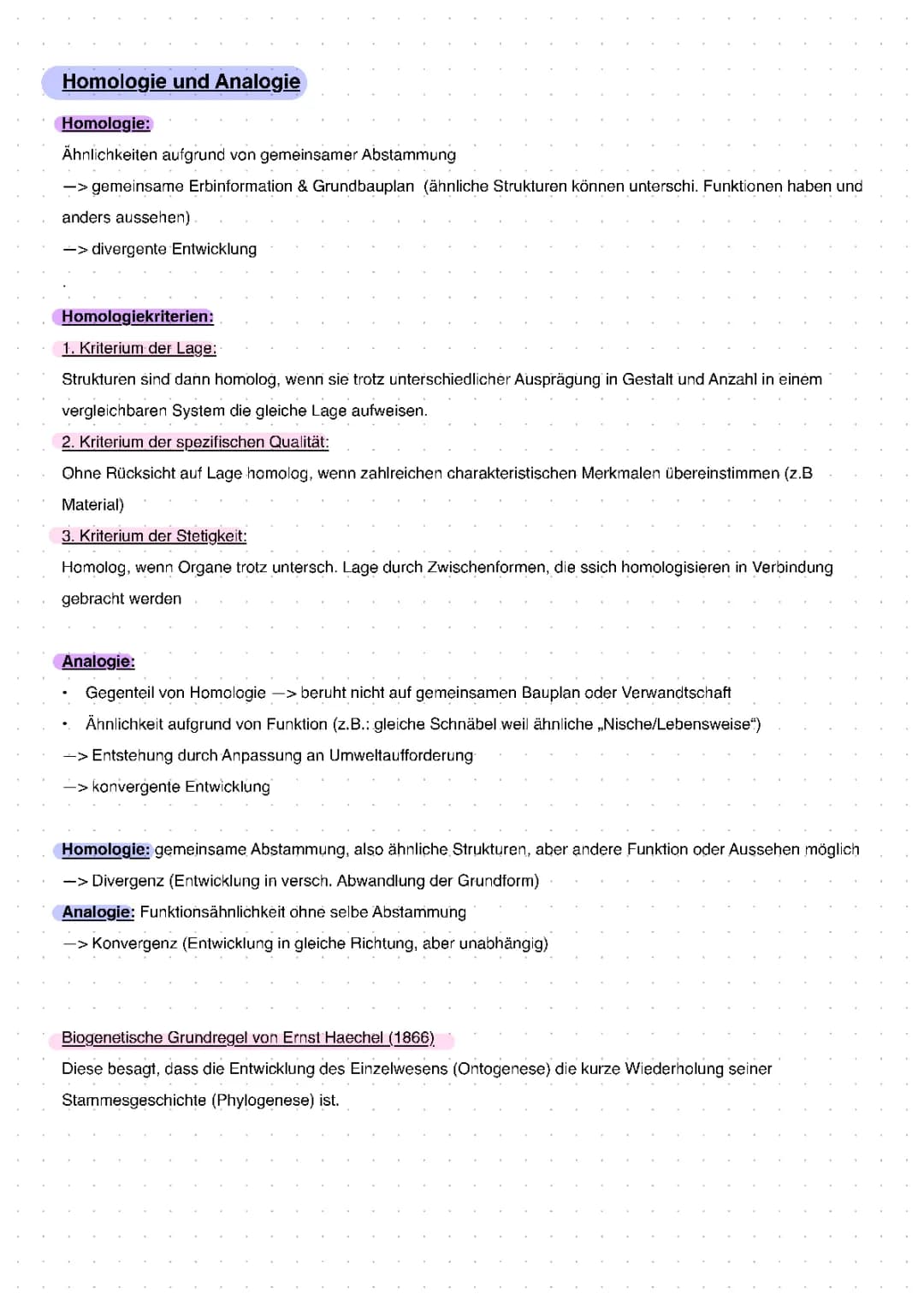 Homologie und Analogie