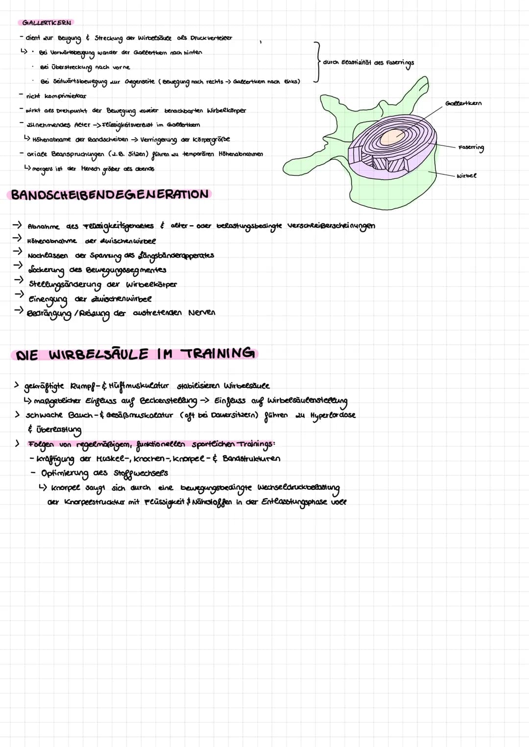 FUNKTION
> Stütafunktion *. B. für den kopf
Schutafunktion für Rückenmark
>
>
AUFBAU
>
Bewegungsfunktion für Rumpf
Federungsfunktion für kop