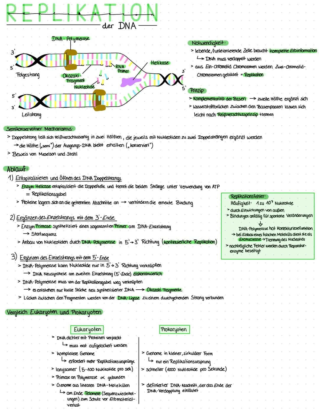 DIE DNA
-Aufbau-
Die DNA ist aus Nukleotiden aufgebaut:
Phosphatgruppe.
Zucker (Desoxy-
ribose)
Primārstruktur = unterste Strukturebene eine