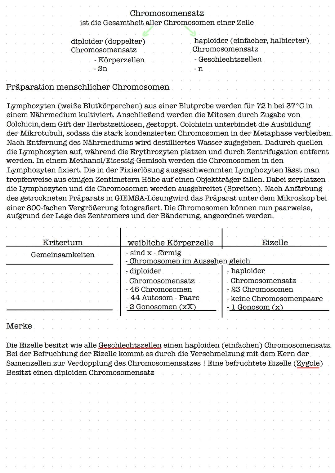 Zellkern mit Kernkörperchen
Chloroplast (Plastid)
Zellplasma (Cytoplasma)
Golgi- Apparat (Dictyosom)
Mitochondrien
Ribosomen
endoplasmatisch