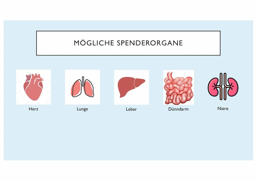 ORGANTRANSPLANTATION
Emilia Glasl Q12 Ist es moralisch vertretbar das Leben eines Menschen durch die
Entnahme eines Organs eines anderen Men