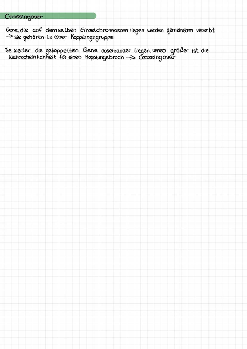 Das genetische Material
Zelle
GENETIK
kern lose
körper zellen
Zellkern →Genetisches Material
Zellarten
kernhaltige
korperzellen
(somatische
