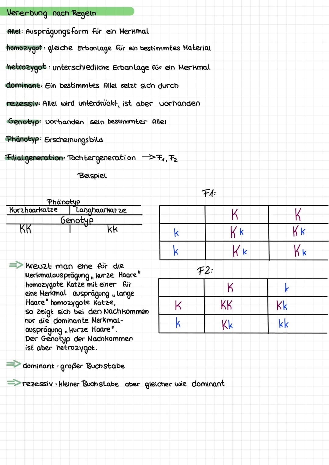Das genetische Material
Zelle
GENETIK
kern lose
körper zellen
Zellkern →Genetisches Material
Zellarten
kernhaltige
korperzellen
(somatische

