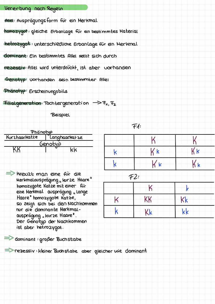 Das genetische Material
Zelle
GENETIK
kern lose
körper zellen
Zellkern →Genetisches Material
Zellarten
kernhaltige
korperzellen
(somatische
