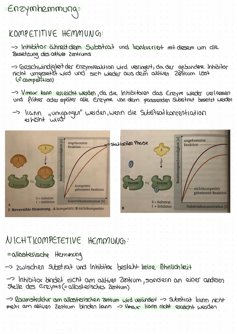 Enzyme - Biokatalysatoren:
L> Enzyme sind biologische Katalysatoren, welche Stoffwechsel-
reaktionen in Gang setzen und steuern, ohne dabei 