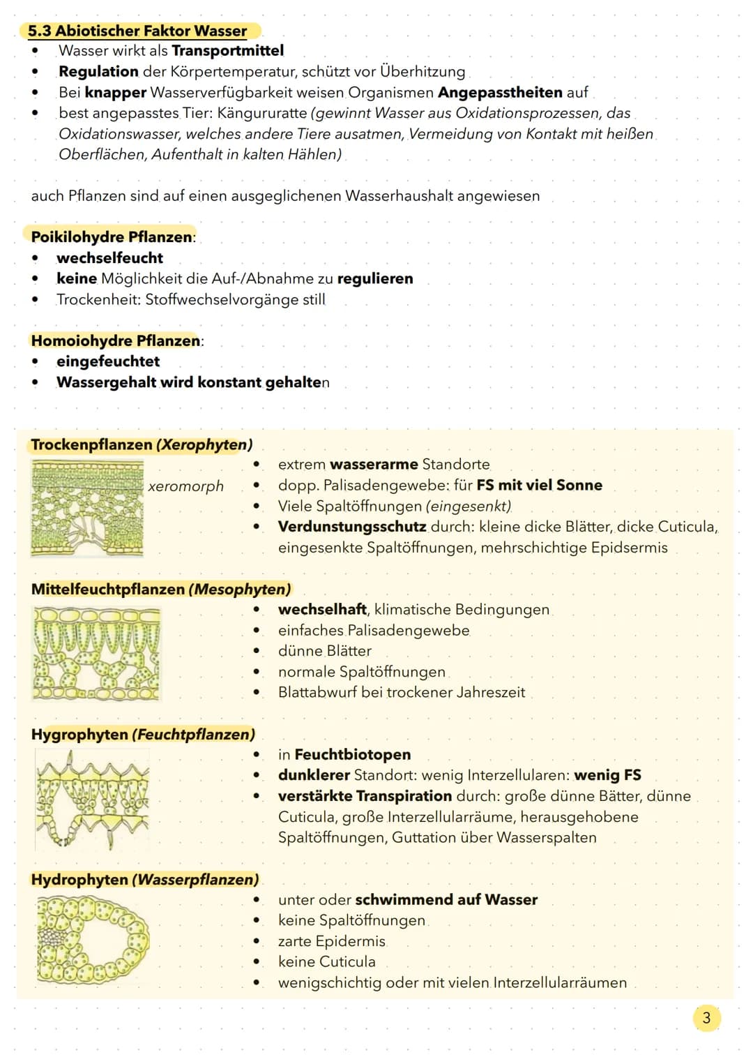 Ökologie Aufbau eines Ökosystems
Gesamtheit aller biotischen Faktoren.
Interspezifische
Faktoren
(Faktoren ausgehend
von der eigenen Art)
Bi