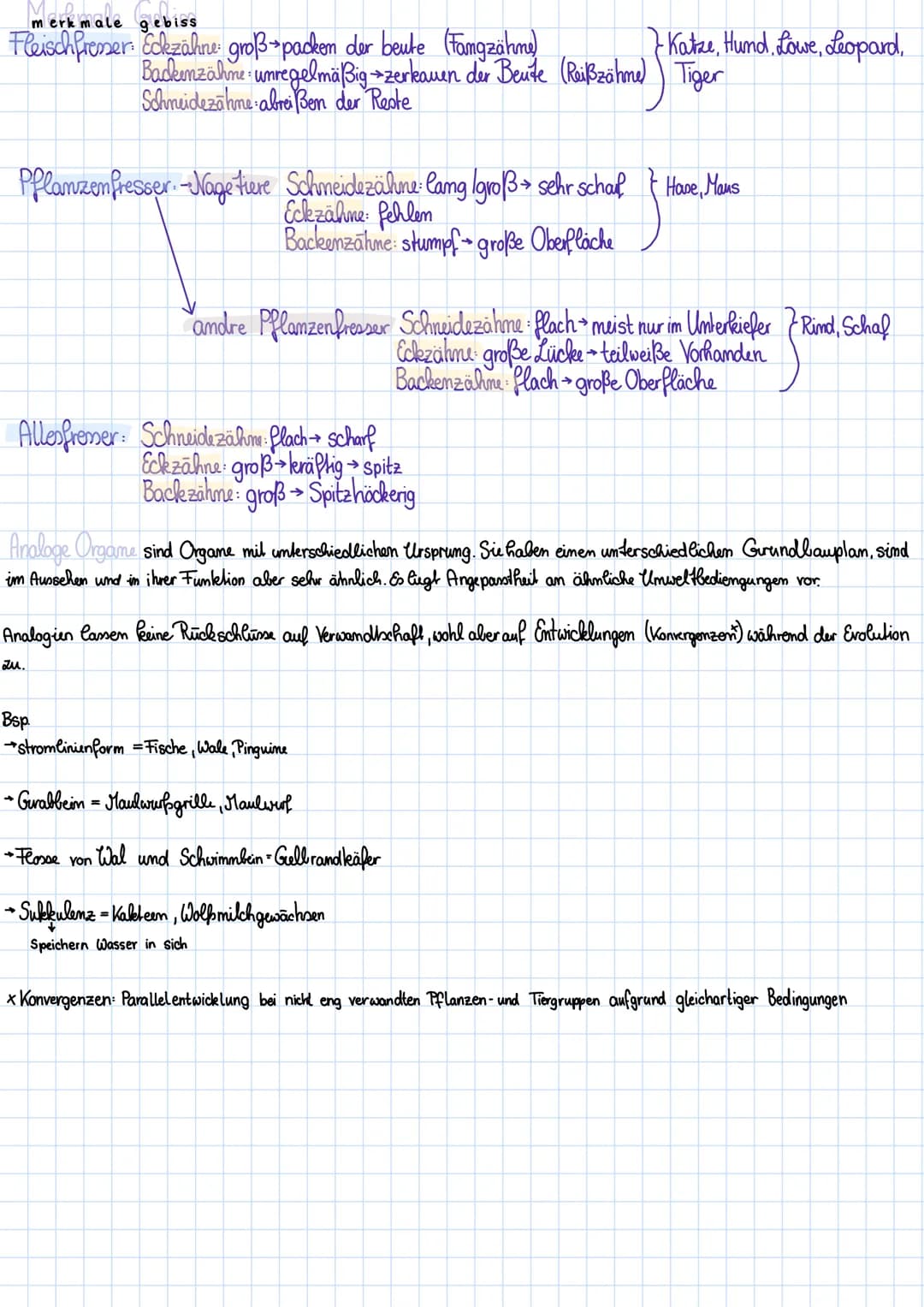 →>>
➜>>
entwicklungstendenzen entwicklungsric
Spezialisierung
Hohentwicklung
Rückbildung
angepasstheit der Schnabelform am Nahrung
2.b. ange