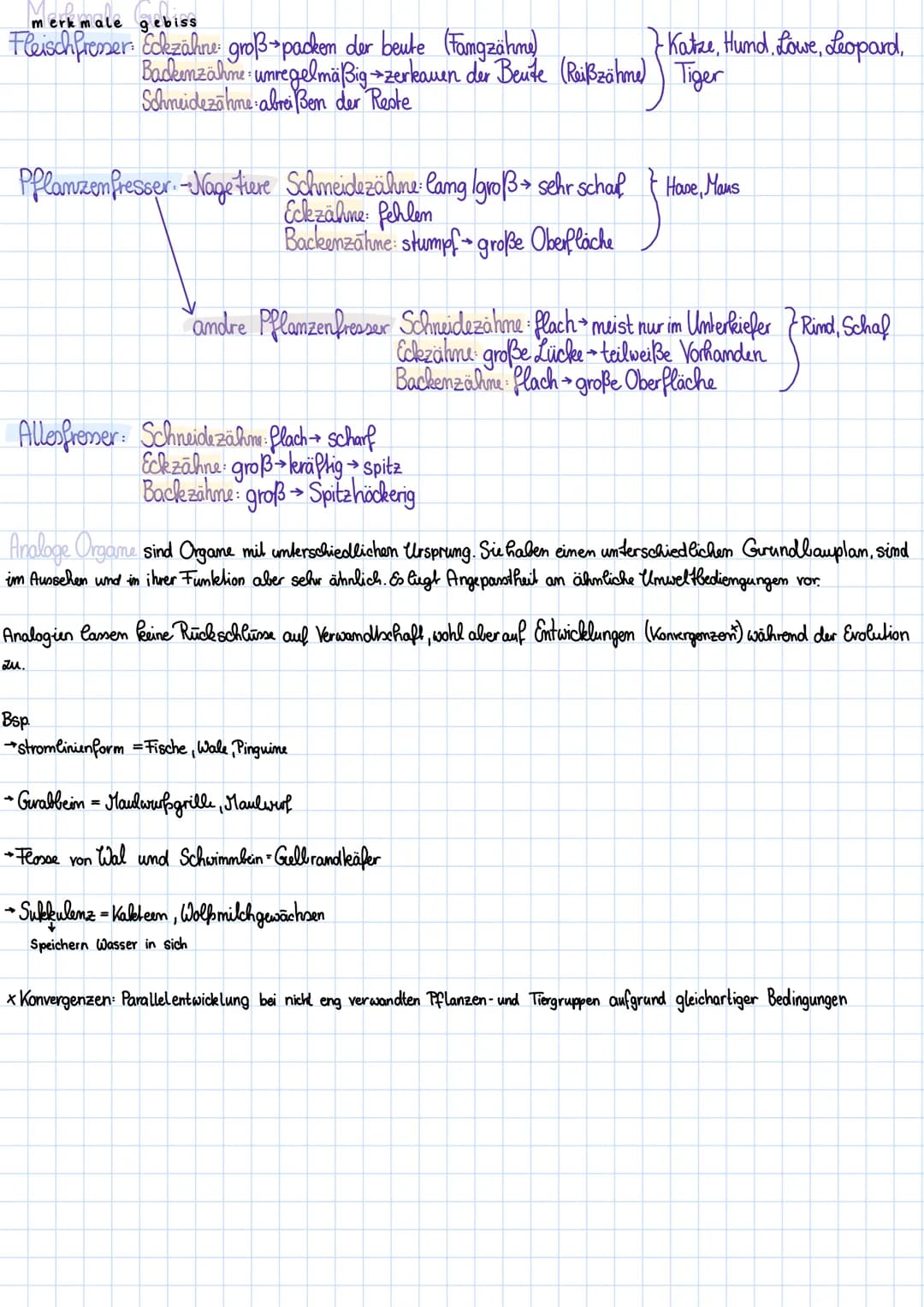 →>>
➜>>
entwicklungstendenzen entwicklungsric
Spezialisierung
Hohentwicklung
Rückbildung
angepasstheit der Schnabelform am Nahrung
2.b. ange