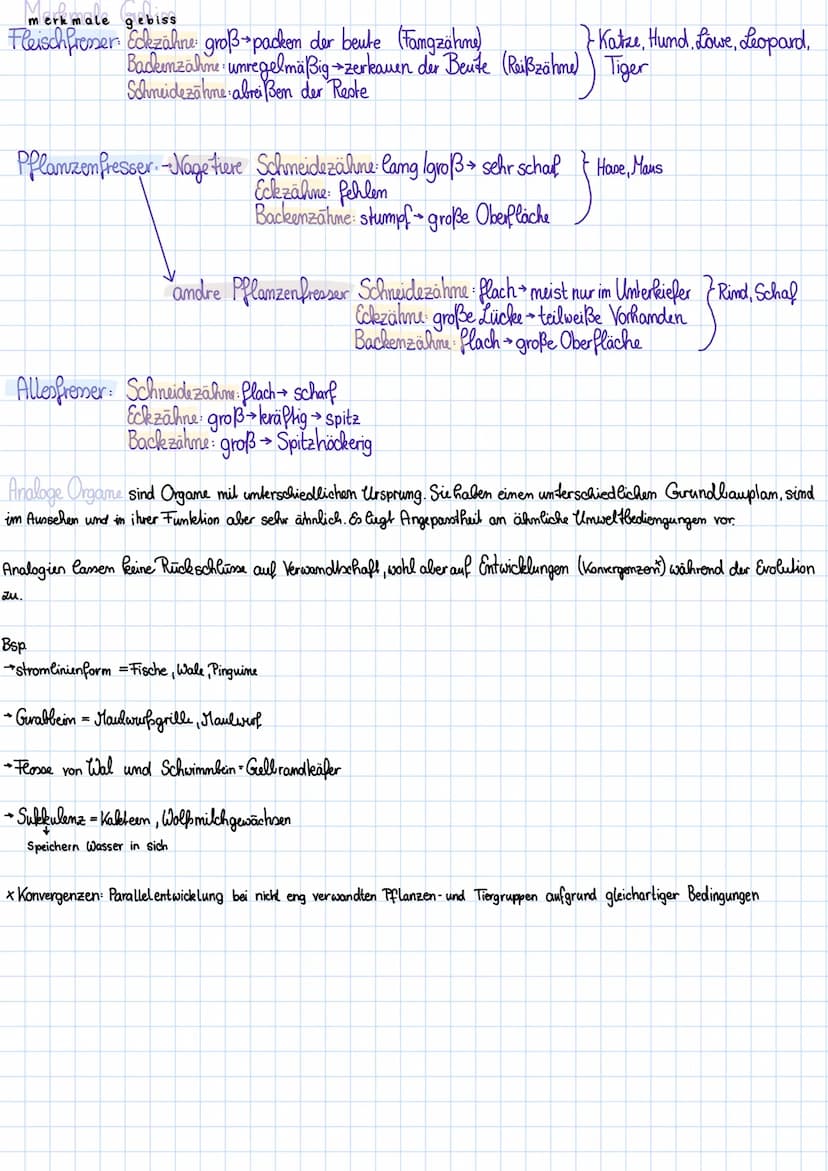 →>>
➜>>
entwicklungstendenzen entwicklungsric
Spezialisierung
Hohentwicklung
Rückbildung
angepasstheit der Schnabelform am Nahrung
2.b. ange