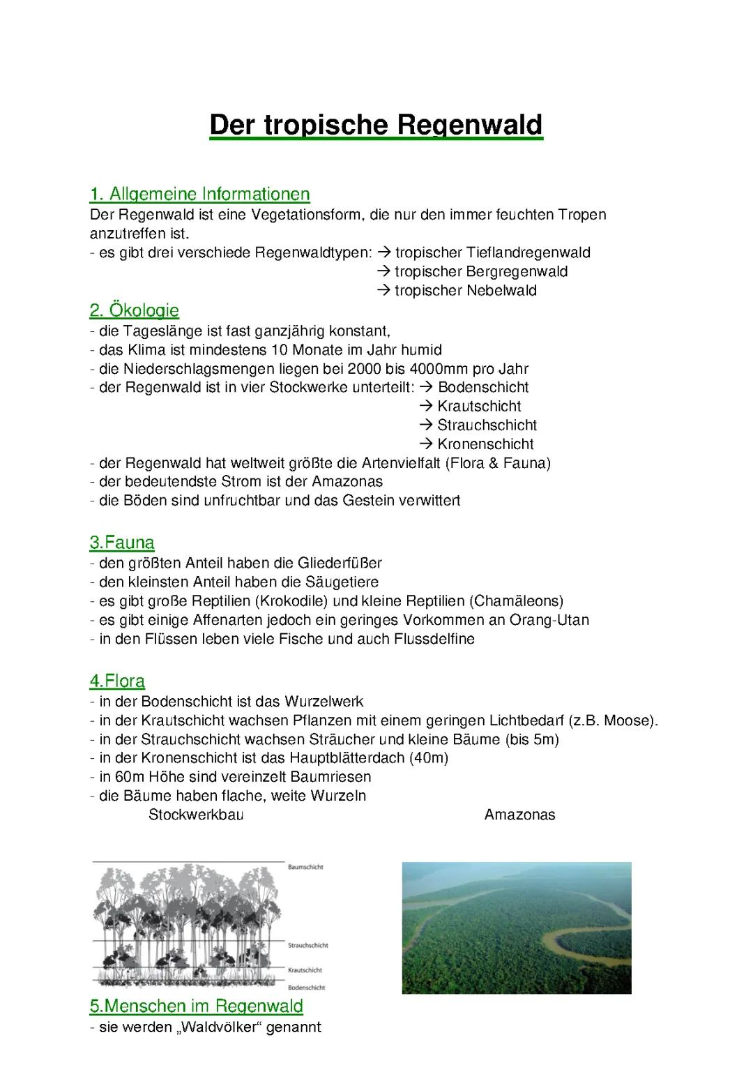 tropischer Regenwald