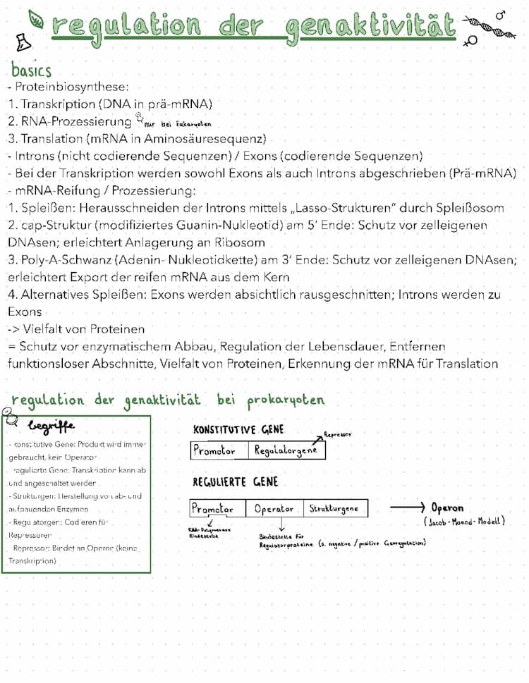 Know Genaktivität und Genetik thumbnail