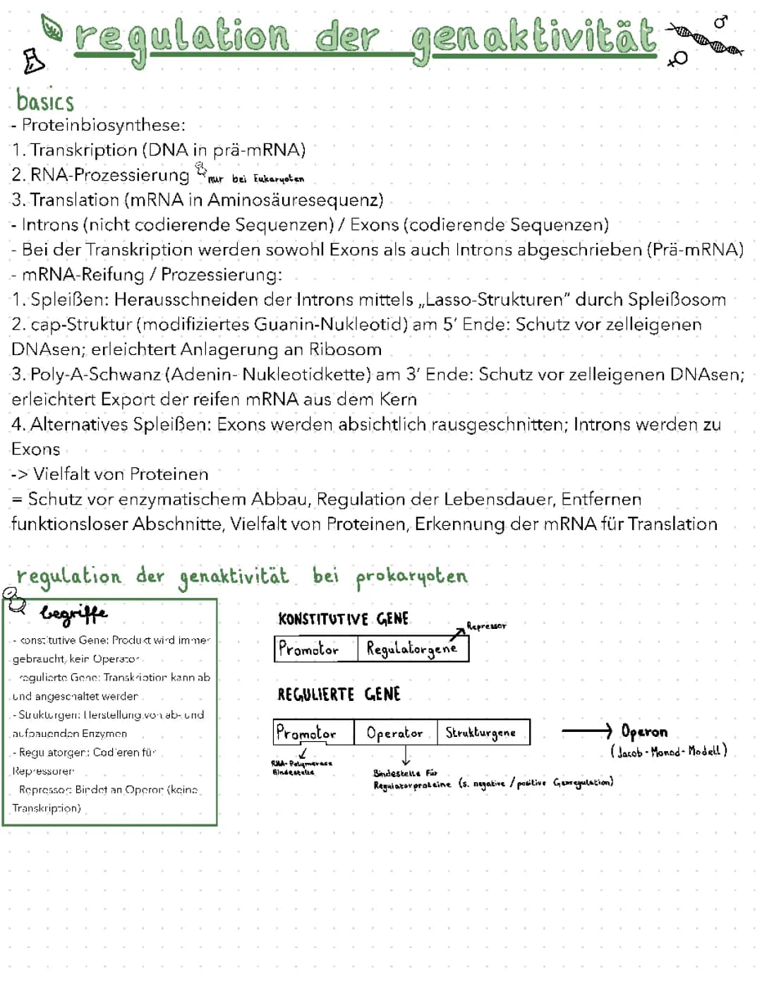 Genaktivität und Genetik