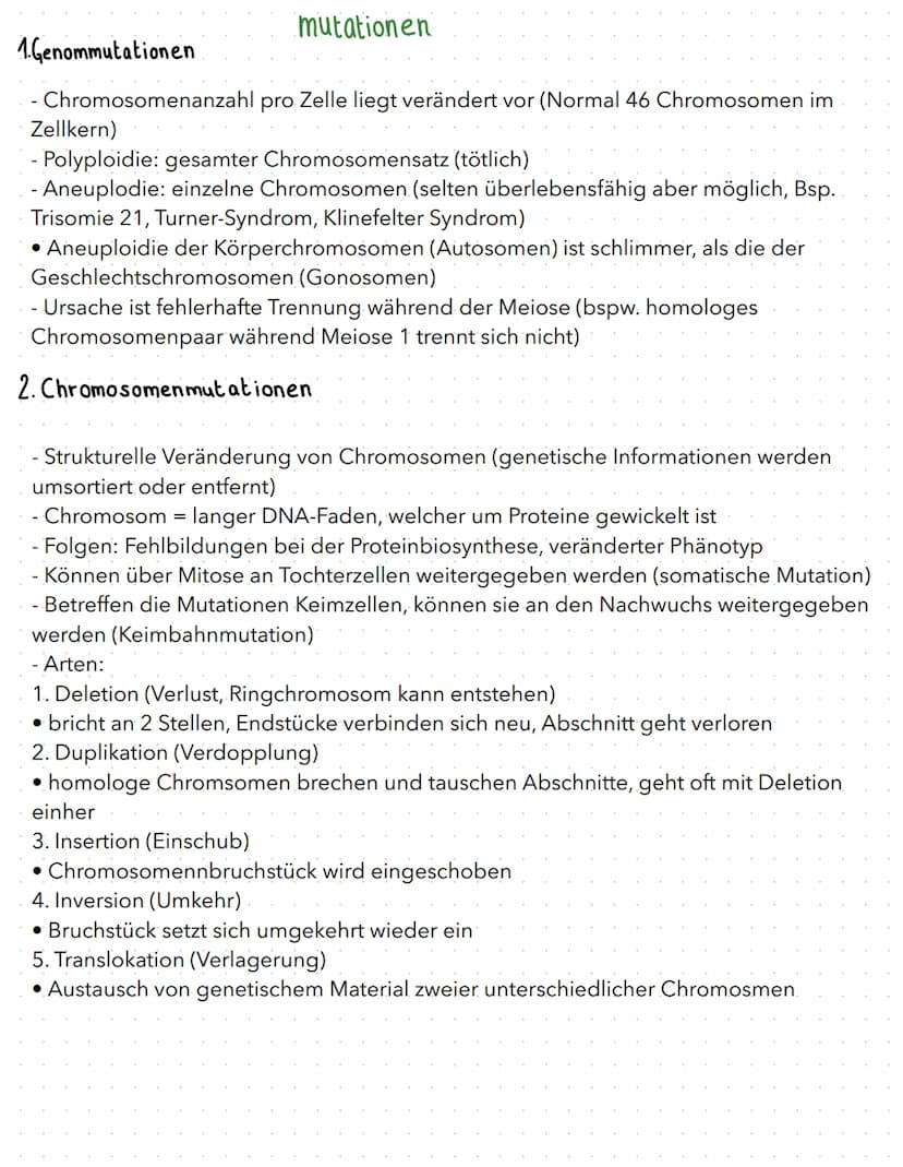 regulation der genaktivität
B
basics
- Proteinbiosynthese:
1. Transkription (DNA in prä-mRNA)
2. RNA-Prozessierung & nur bei Eukaryoten
3. T